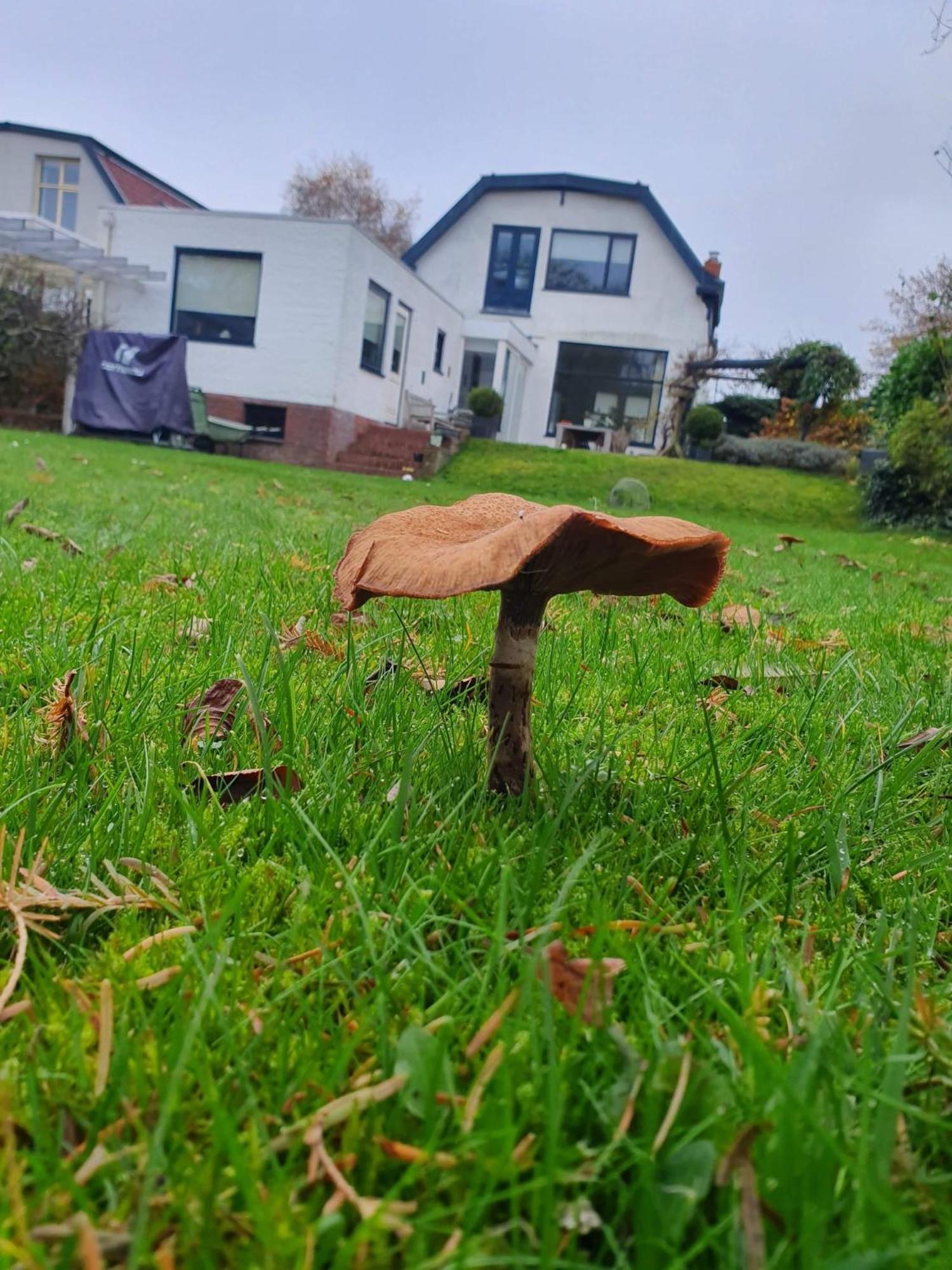 Zelfstandig Gastenverblijf In Het Groene Haren Nabij Groningen Dış mekan fotoğraf