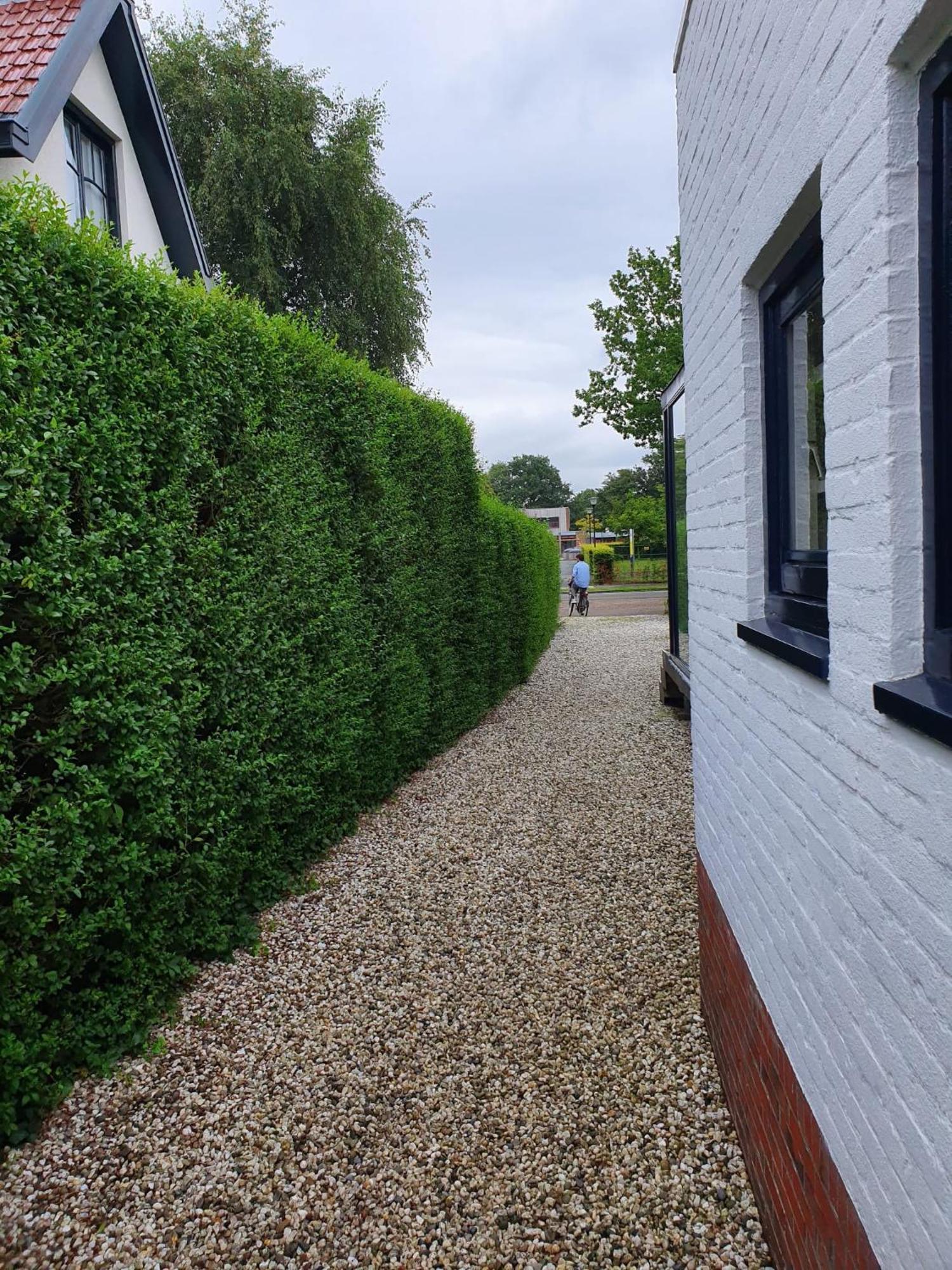 Zelfstandig Gastenverblijf In Het Groene Haren Nabij Groningen Dış mekan fotoğraf